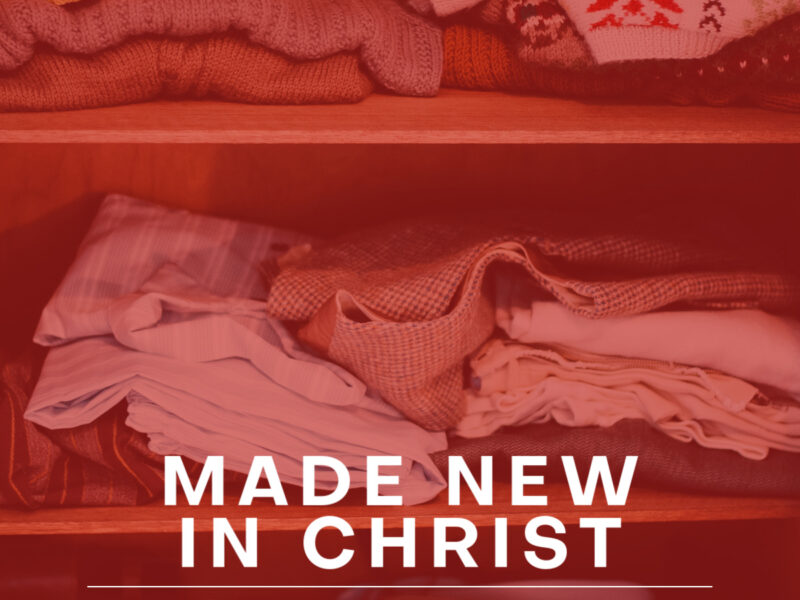 Settled: Made New in Christ